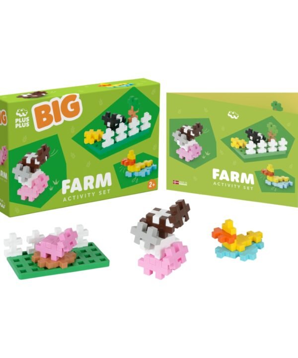 Plus Plus konstruktorius DIDELĖS, Ūkis