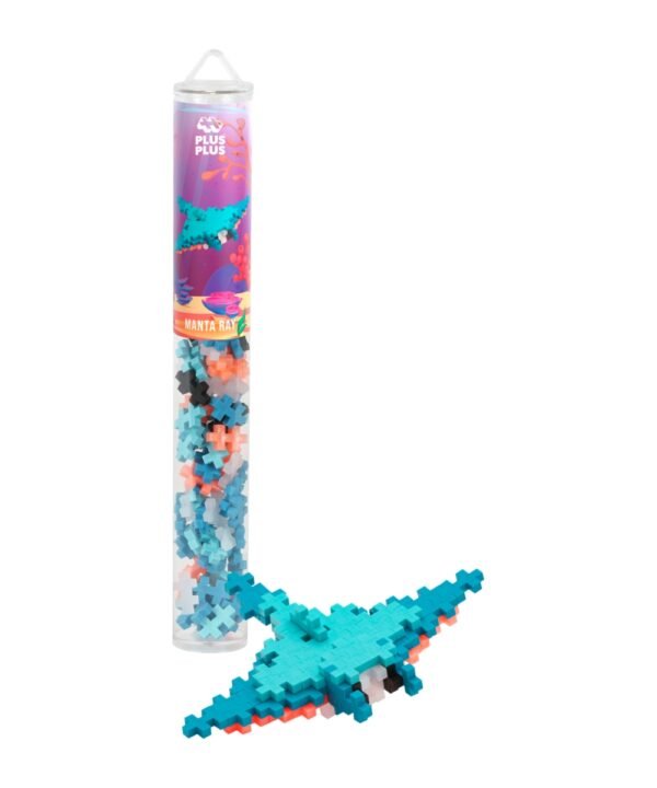 Plus Plus konstruktorius, Raja, 100 det.