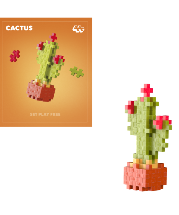 Plus Plus konstruktorius AUGALAI - kaktusas