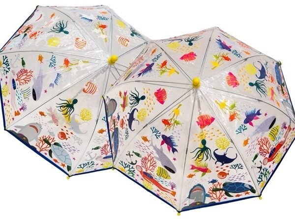 Magiškas skėtis, Jūra, skaidrus