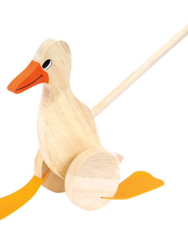 Medinis stumdukas, Antis