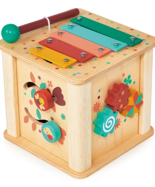 Mentari Mažylio veiklos kubas