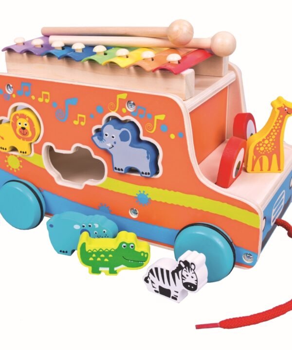 Multifunkcinis žaislas su metalofonu