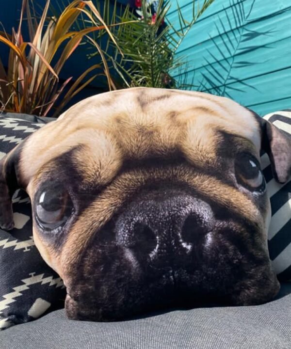 Splat Planet pagalvėlė-suvenyras MOPSAS