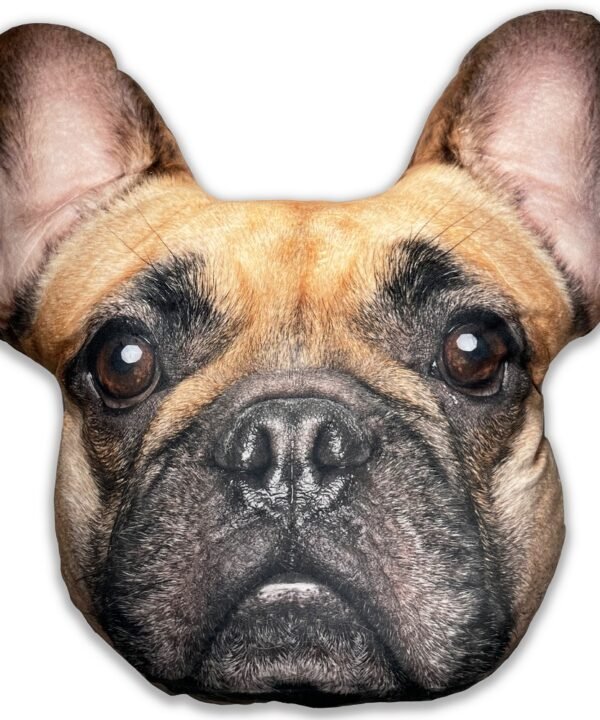 Splat Planet pagalvėlė-suvenyras PRANCŪZŲ BULDOGAS