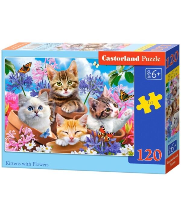 Castorland dėlionė Kittens With Flowers 120 det.