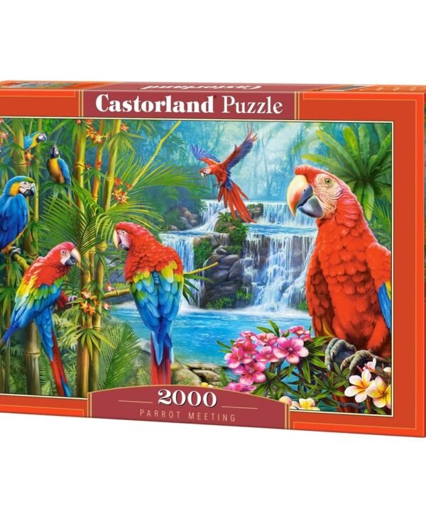 Castorland dėlionė Parrot Meeting 2000 det.