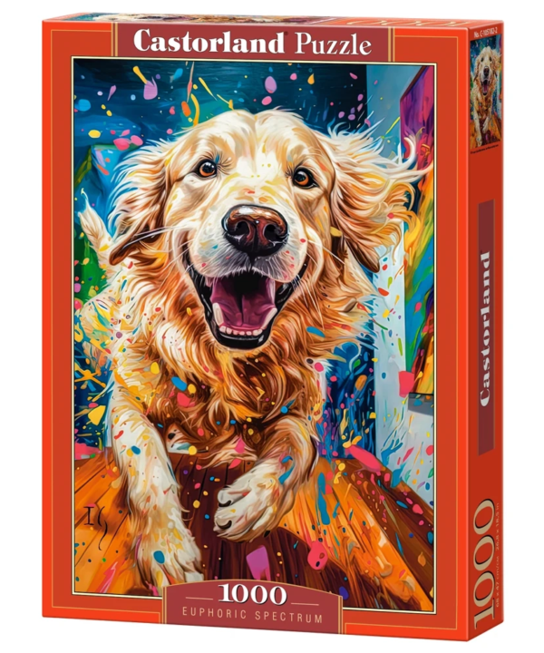 Castorland dėlionė Euphoric Spectrum 1000 det.