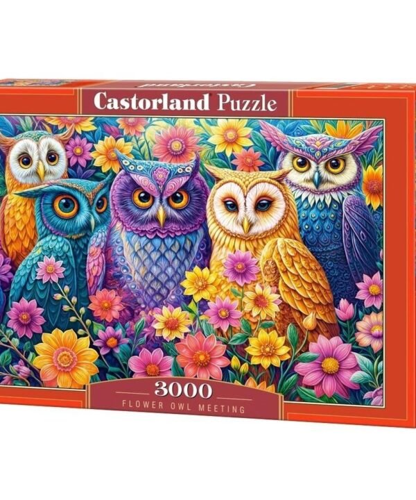 Castorland dėlionė Flower Owl Meeting 3000 det.