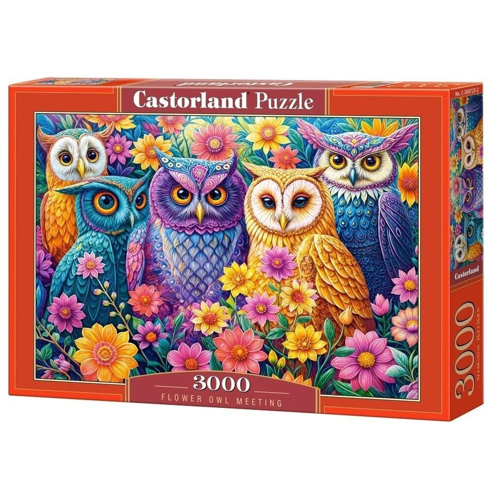 Castorland dėlionė Flower Owl Meeting 3000 det.