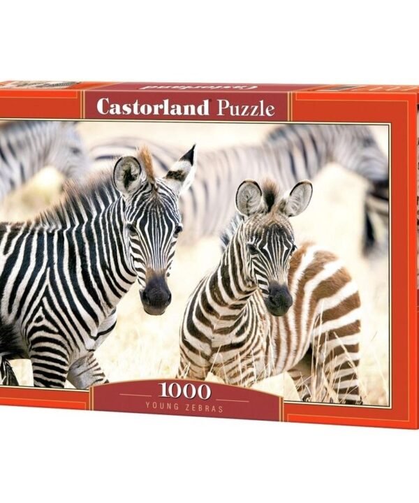 Castorland dėlionė Young Zebras 1000 det