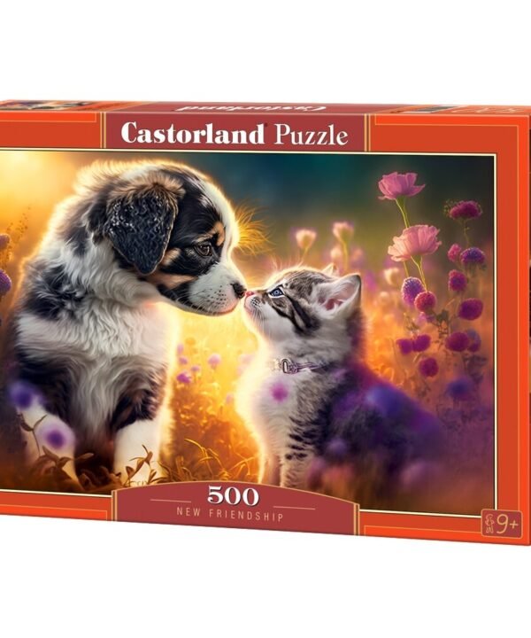 Castorland dėlionė New Friendship 500 det