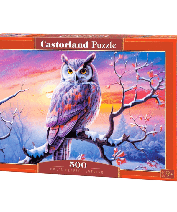 Castorland dėlionė Owls Perfect Evening 500 det