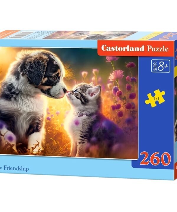 Castorland dėlionė New Friedship 260 det.