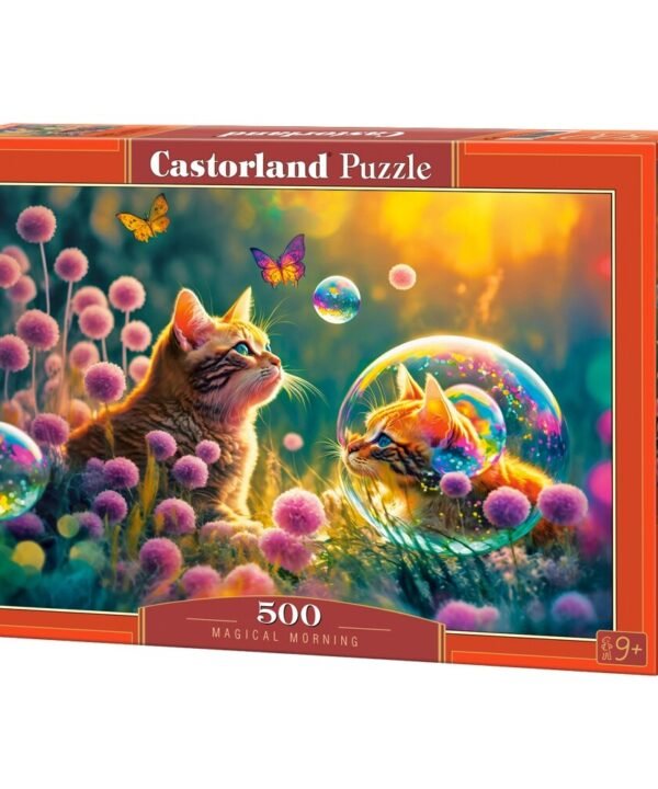 Castorland dėlionė Magical Morning 500 det