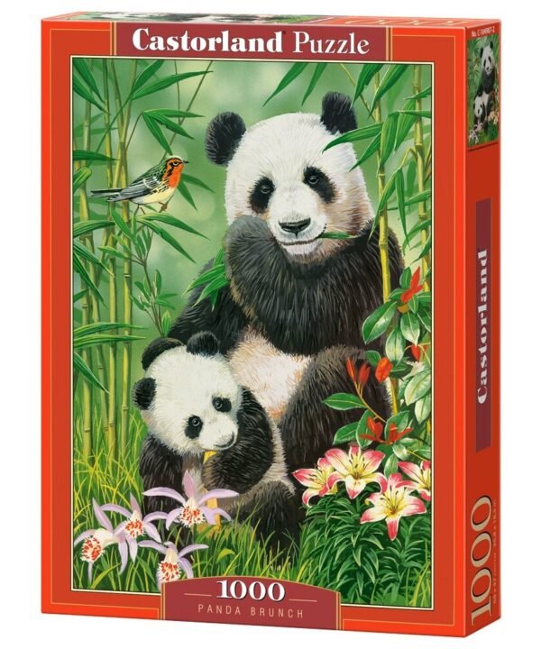 Castorland dėlionė Panda Brunch 1000 det.