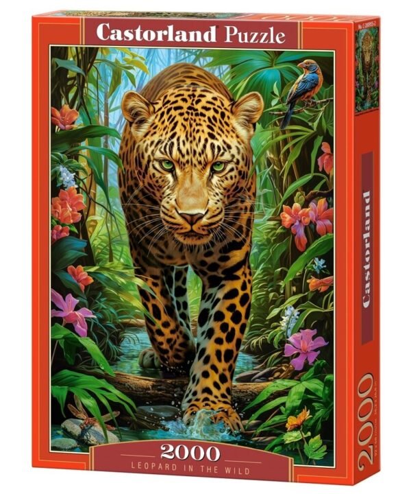 Castorland dėlionė Leopard in the Wild 2000 det.