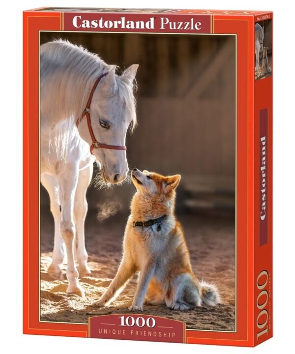 Castorland dėlionė Unique Friendship 1000 det