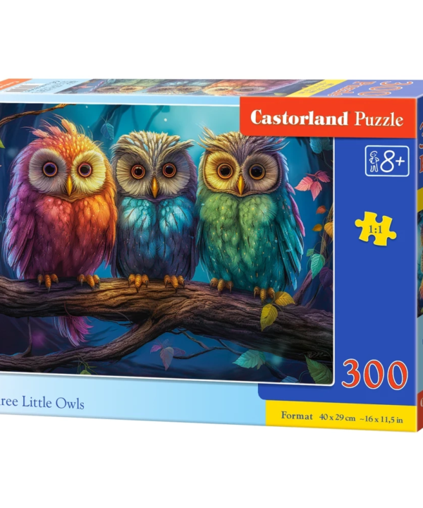 Castorland dėlionė  Three Little Owls 300 det.