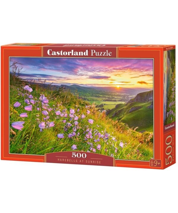 Castorland dėlionė Harebells at Sunrise 500 det.