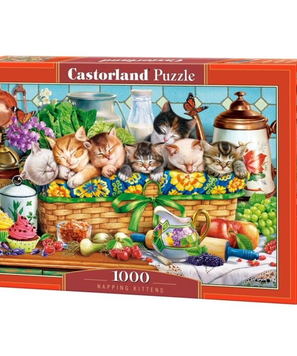 Castorland dėlionė Napping Kittens 1000 det.