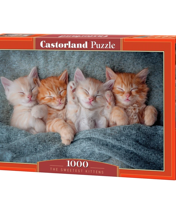 Castorland dėlionė The Sweetest Kittens 1000 det.