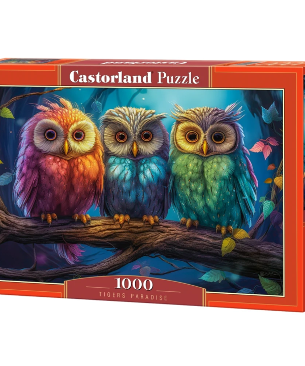 Castorland dėlionė Three Little Owls 1000 det.