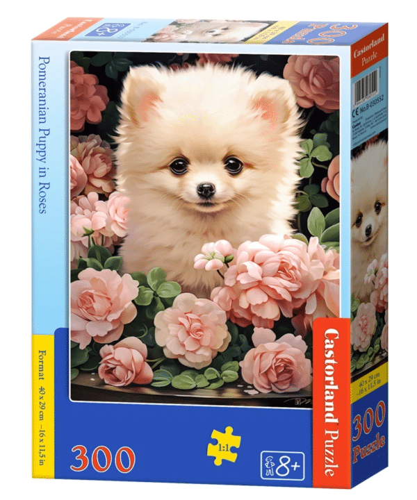 Castorland dėlionė  Pomeranian Puppy in Roses 300 det.