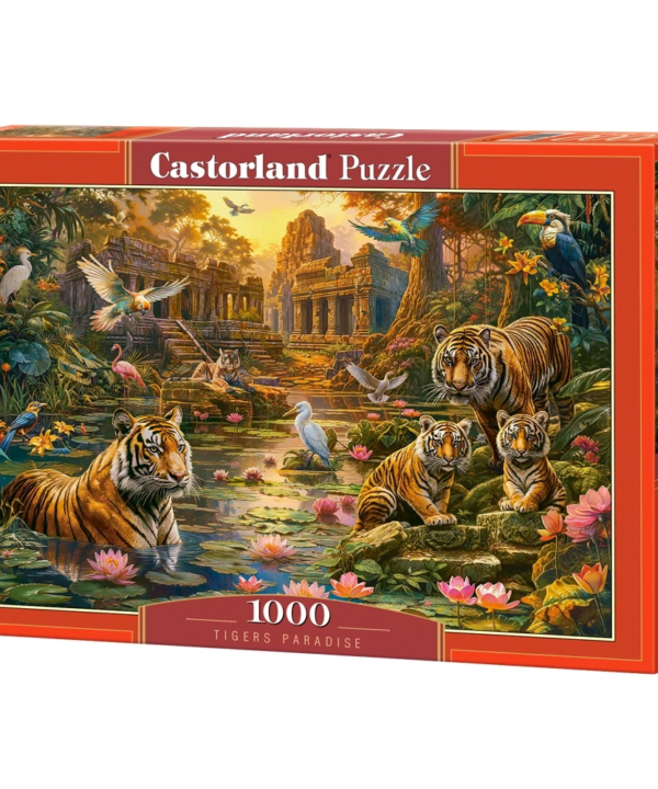 Castorland dėlionė  Tigers Paradise 1000 det.