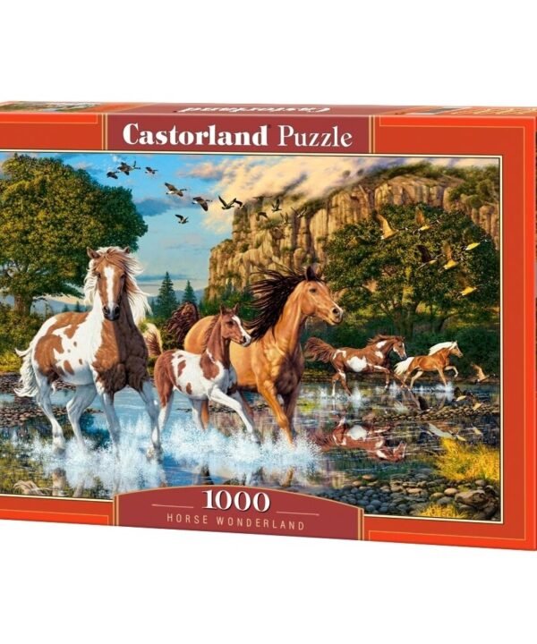 Castorland dėllionė Horse Wonderland 1000 det.