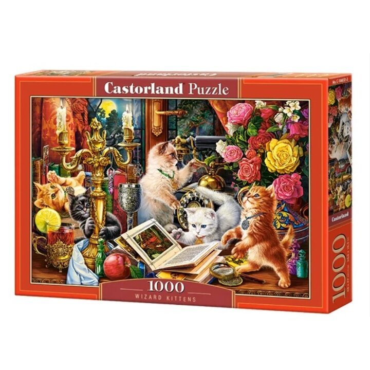 Castorland dėllionė Wizard Kittens1000 det