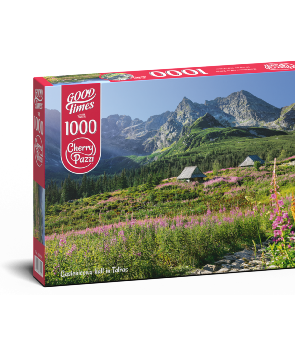 CherryPazzi dėlionė Gasienicowa  hall in Tatras 1000 det.